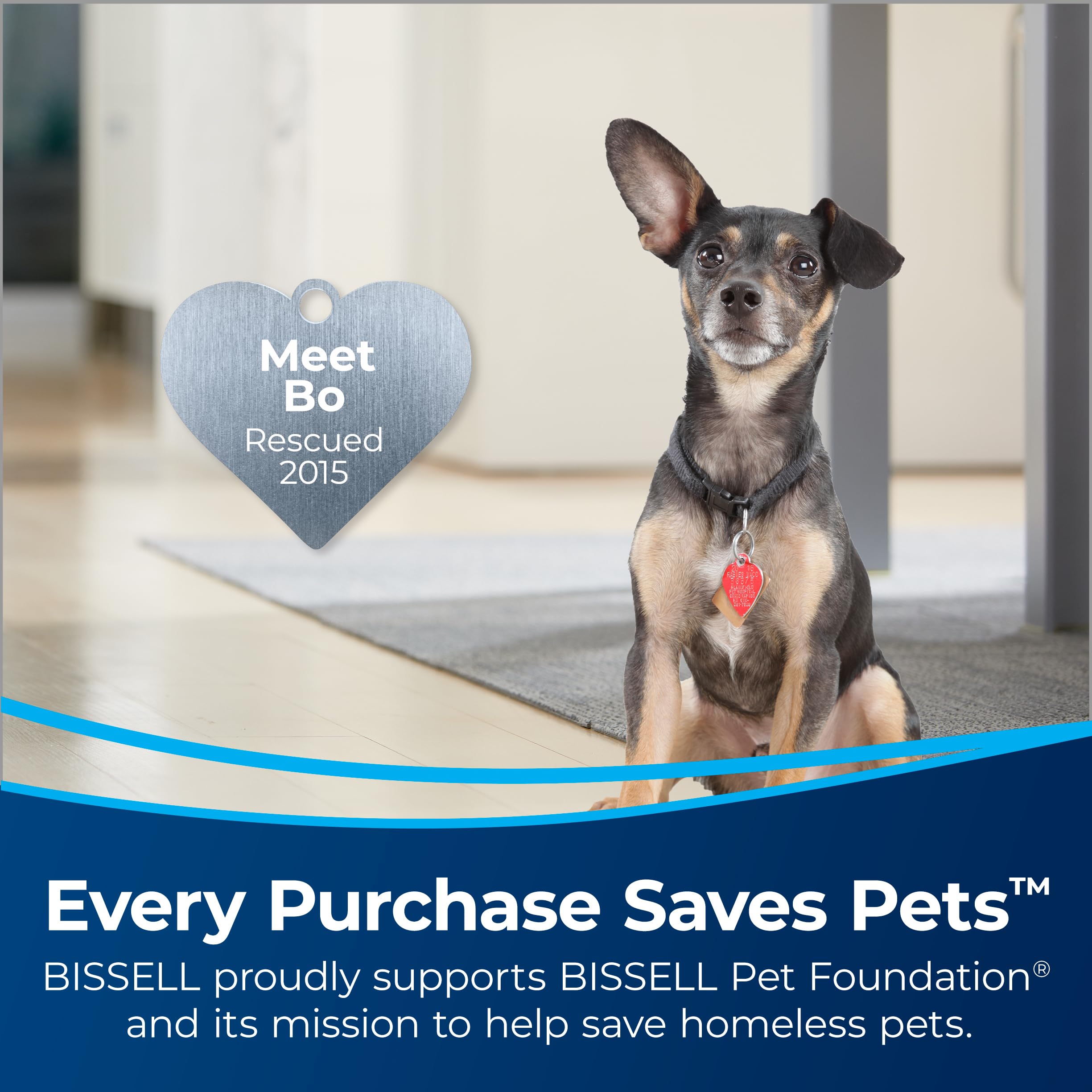 Bissell CleanView Swivel Rewind Pet Reach Vacuum Cleaner (3197A) - John Pierce Auto Care