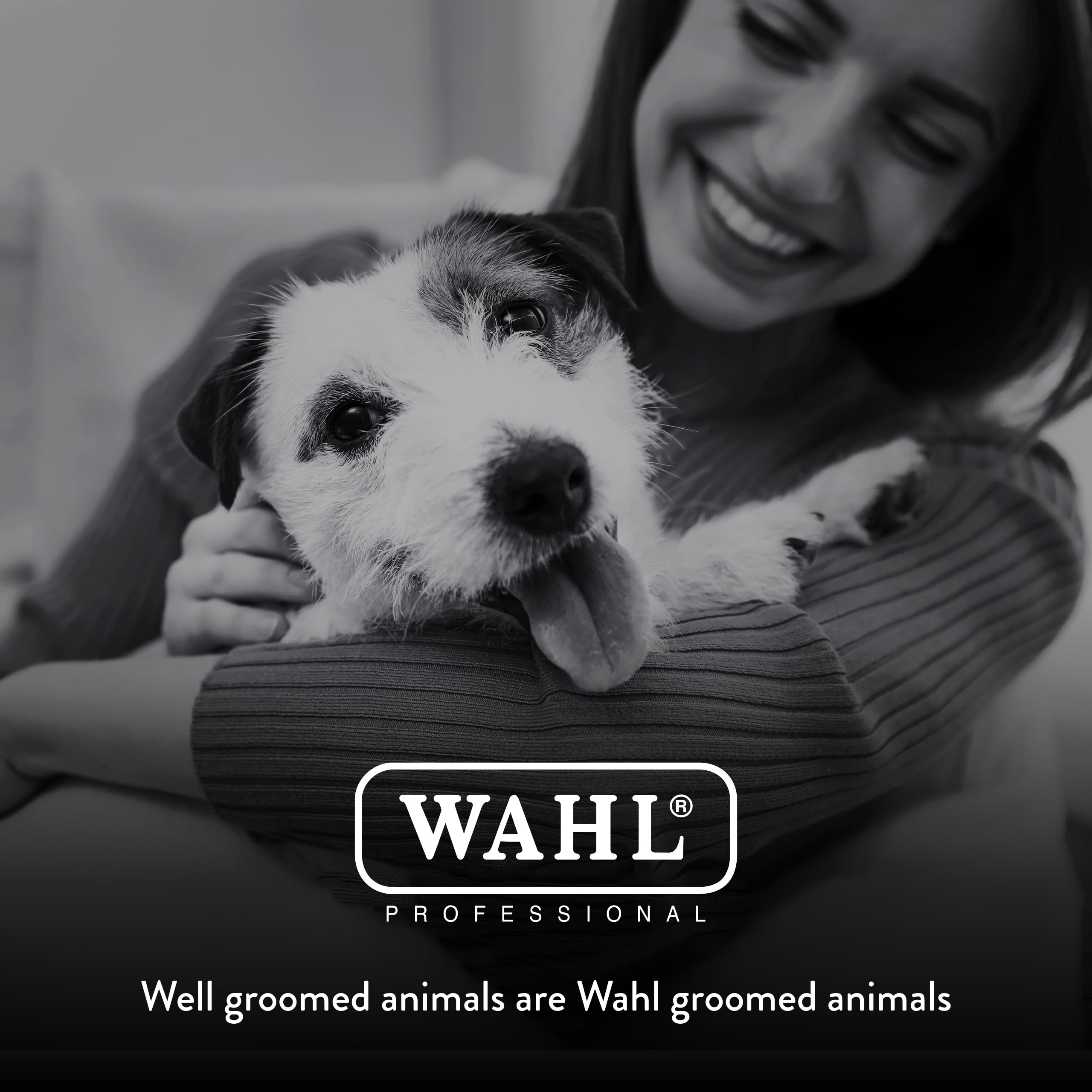 Wahl Professional Animal Bravura Cordless Pet Clipper Kit - John Pierce Auto Care