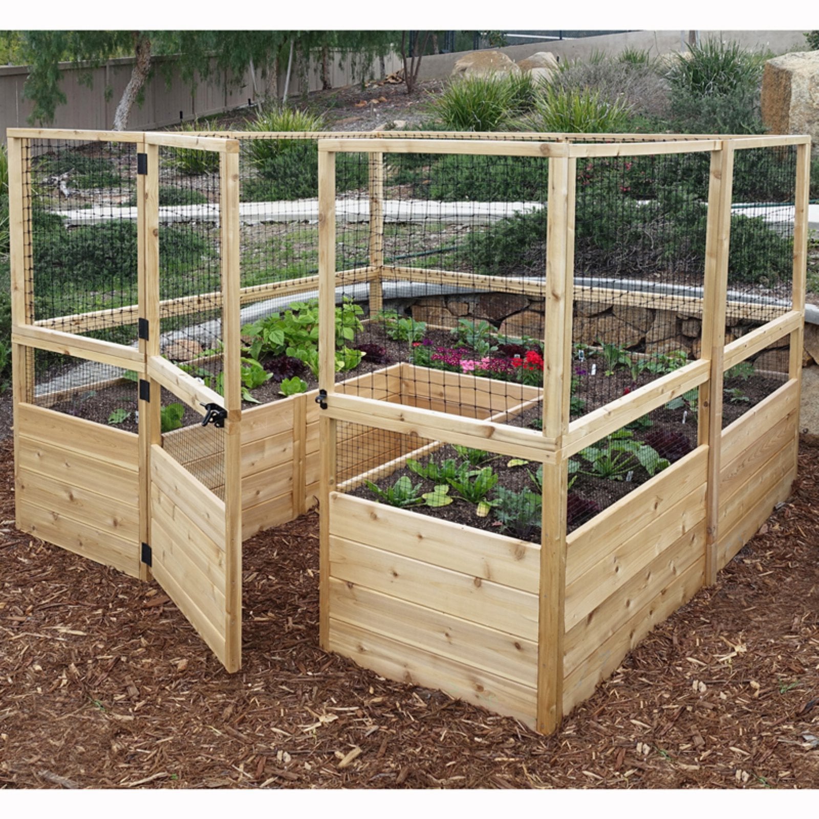 Outdoor Living Today 8x8-Foot Raised Cedar Garden Bed with Deer Fencing - John Pierce Auto Care
