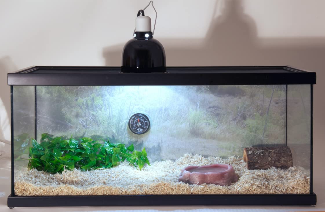 Zoo Med Laboratories Reptihabitat Starter Terrarium Tank - John Pierce Auto Care