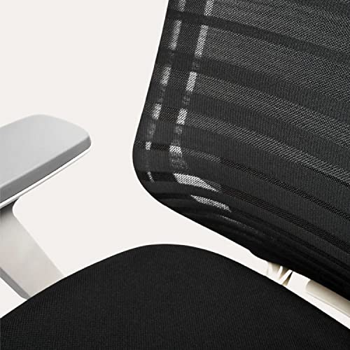 Branch Ergonomic Chair Adjustable Breathable - John Pierce Auto Care
