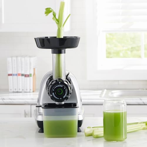 Omega MM900HDS Masticating Celery Juicer - John Pierce Auto Care