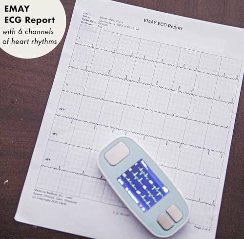 EMAY Portable Channels Compatible Smartphone - John Pierce Auto Care