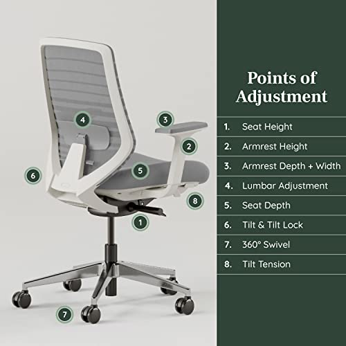 Branch Ergonomic Chair Adjustable Breathable - John Pierce Auto Care