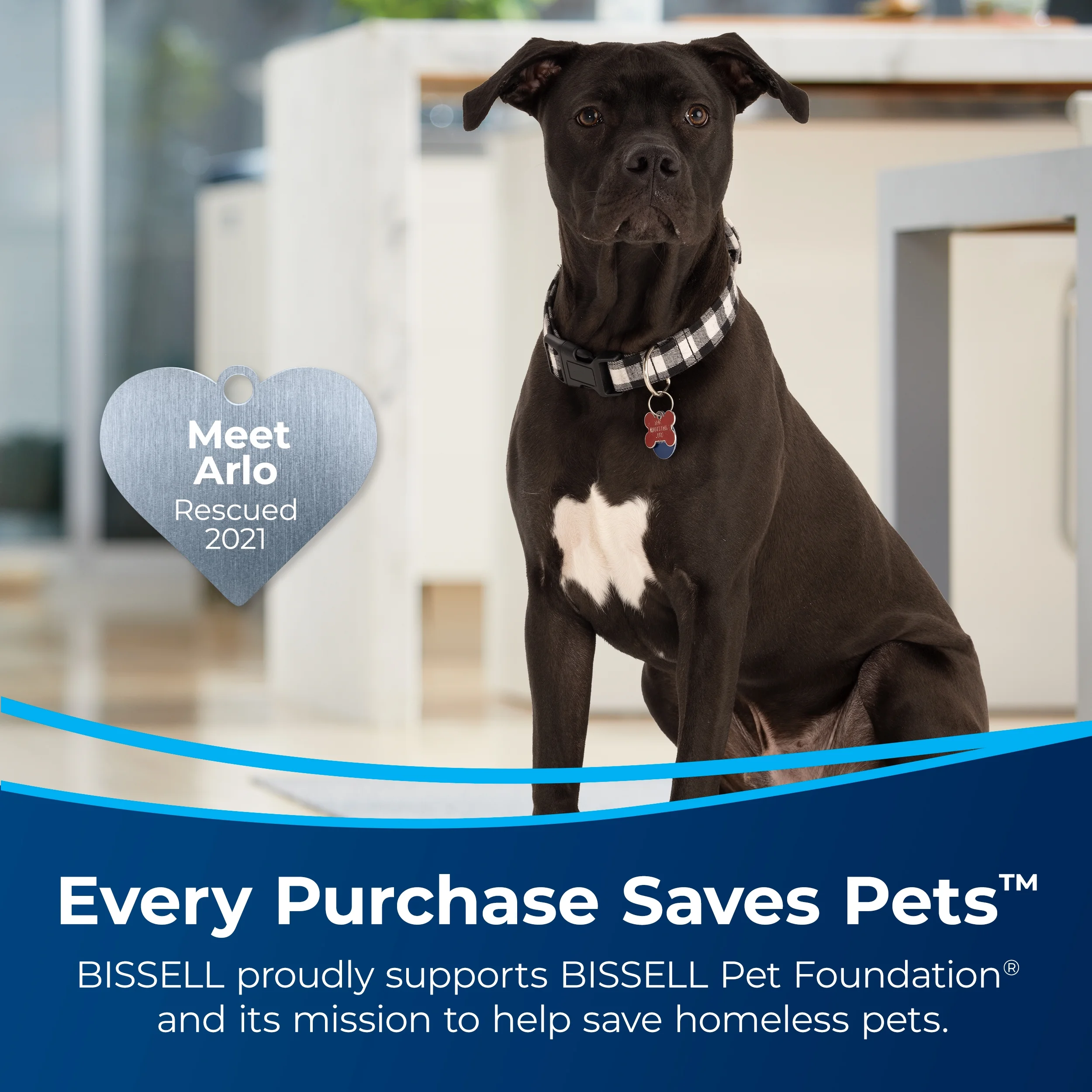 BISSELL® CrossWave® Hard Floor Expert® Wet Dry Vacuum 3831 - John Pierce Auto Care