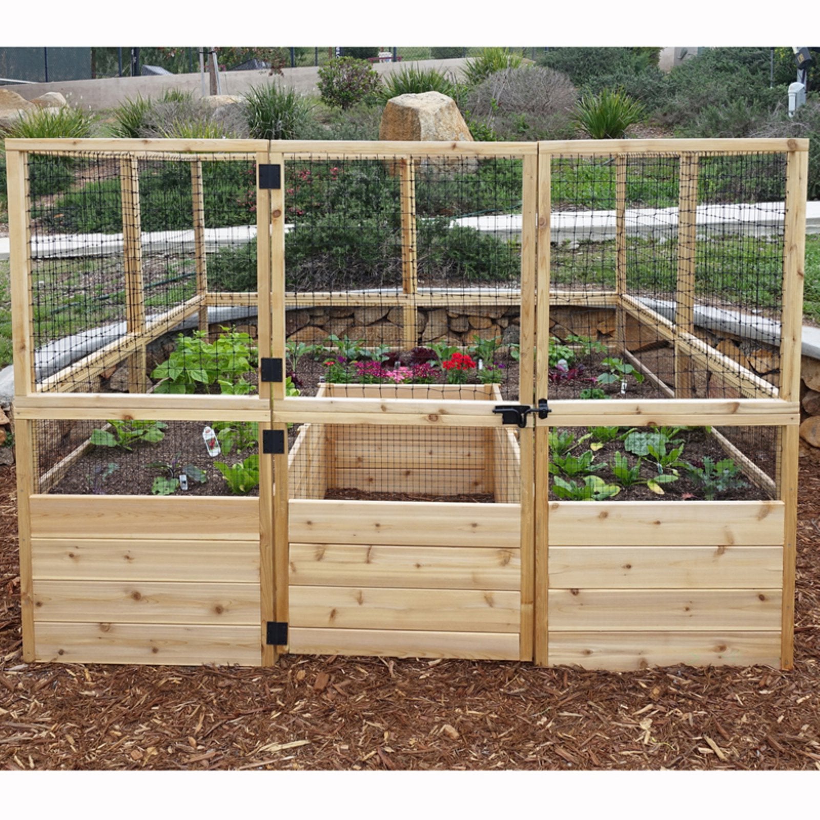 Outdoor Living Today 8x8-Foot Raised Cedar Garden Bed with Deer Fencing - John Pierce Auto Care