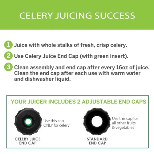 Omega MM900HDS Masticating Celery Juicer - John Pierce Auto Care
