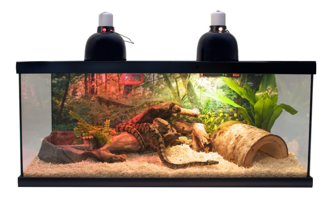 Zoo Med Laboratories Reptihabitat Starter Terrarium Tank - John Pierce Auto Care