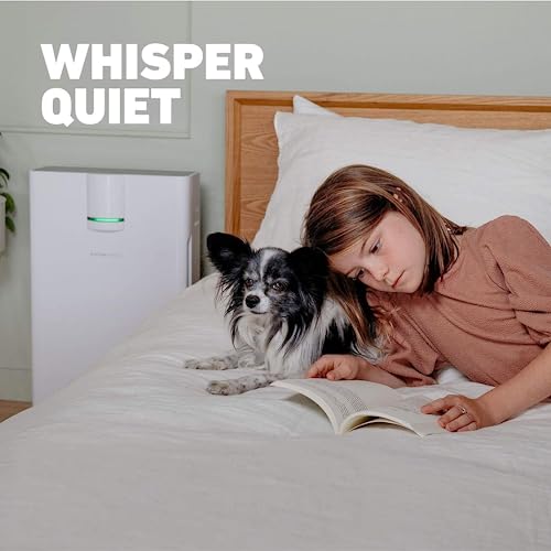 HATHASPACE Smart Air Purifiers HSP002 1500 - John Pierce Auto Care