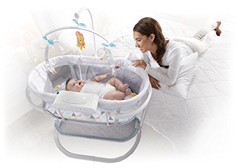Fisher Price Soothing Motions Bassinet Windmill - John Pierce Auto Care