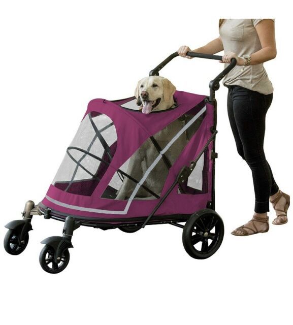 No-Zip Double Pet Stroller (Boysenberry) - John Pierce Auto Care