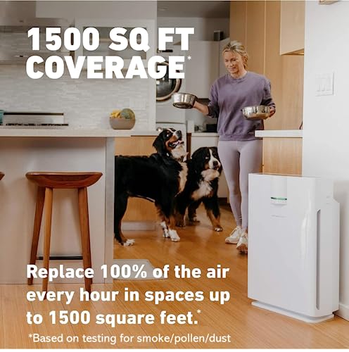 HATHASPACE Smart Air Purifiers HSP002 1500 - John Pierce Auto Care