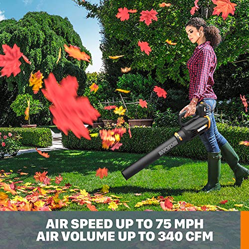WORX WG931 Cordless Trimmer Blower - John Pierce Auto Care